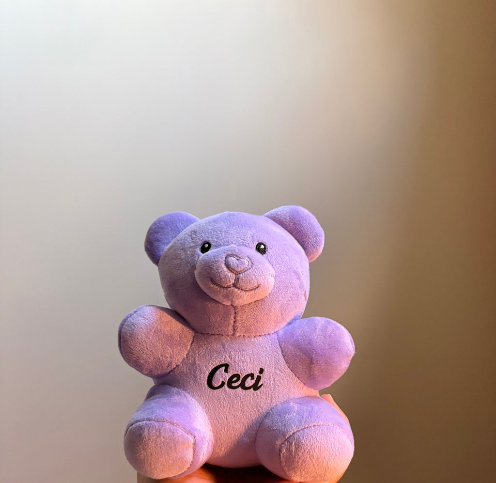 Small 6 inch Teddy Bear